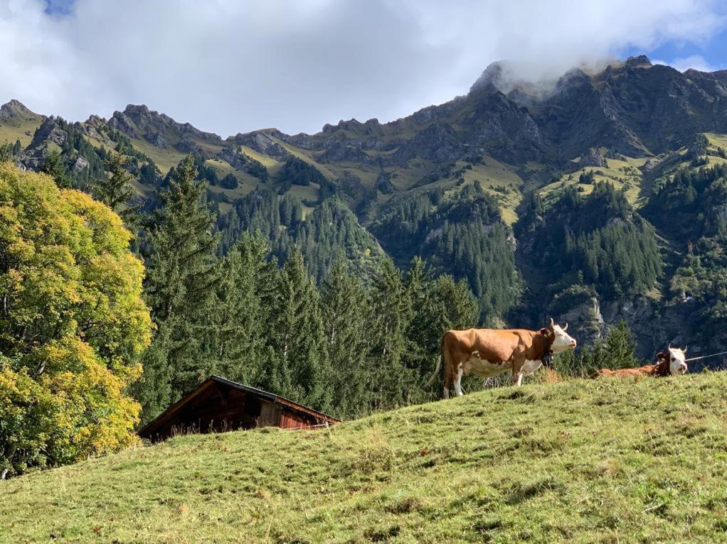 Chalet Schiltwald Innerwengen Zewnętrze zdjęcie