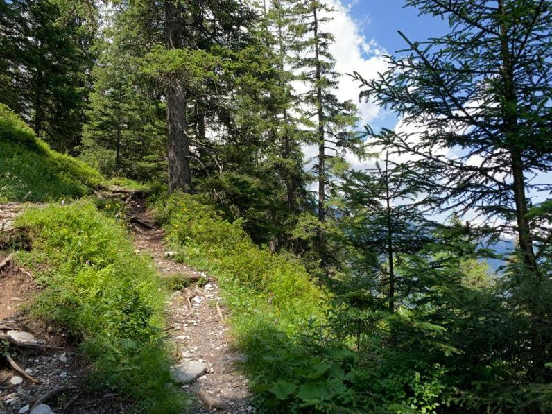 Chalet Schiltwald Innerwengen Zewnętrze zdjęcie