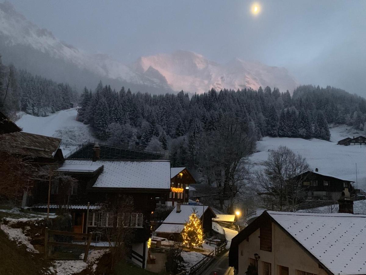 Chalet Schiltwald Innerwengen Zewnętrze zdjęcie