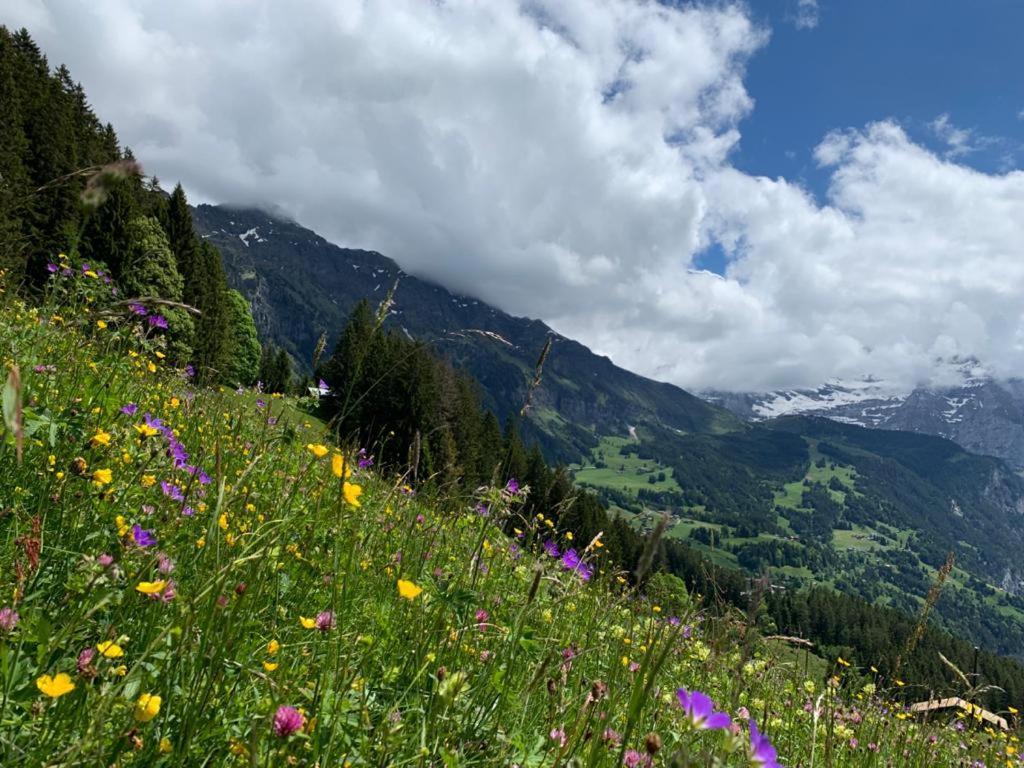 Chalet Schiltwald Innerwengen Zewnętrze zdjęcie