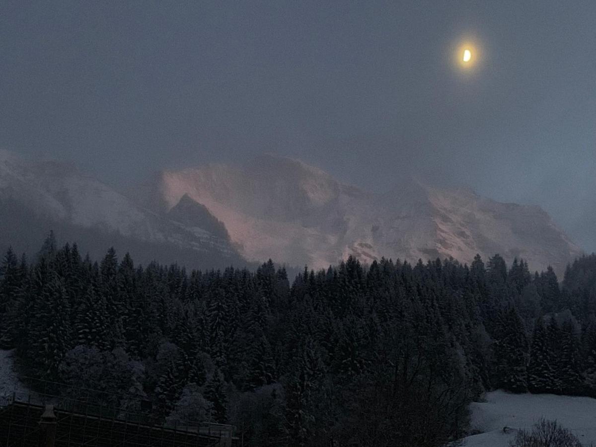 Chalet Schiltwald Innerwengen Zewnętrze zdjęcie