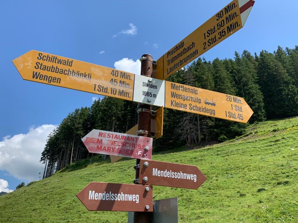 Chalet Schiltwald Innerwengen Zewnętrze zdjęcie