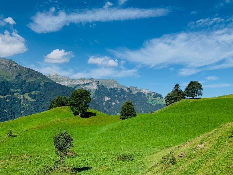 Chalet Schiltwald Innerwengen Zewnętrze zdjęcie
