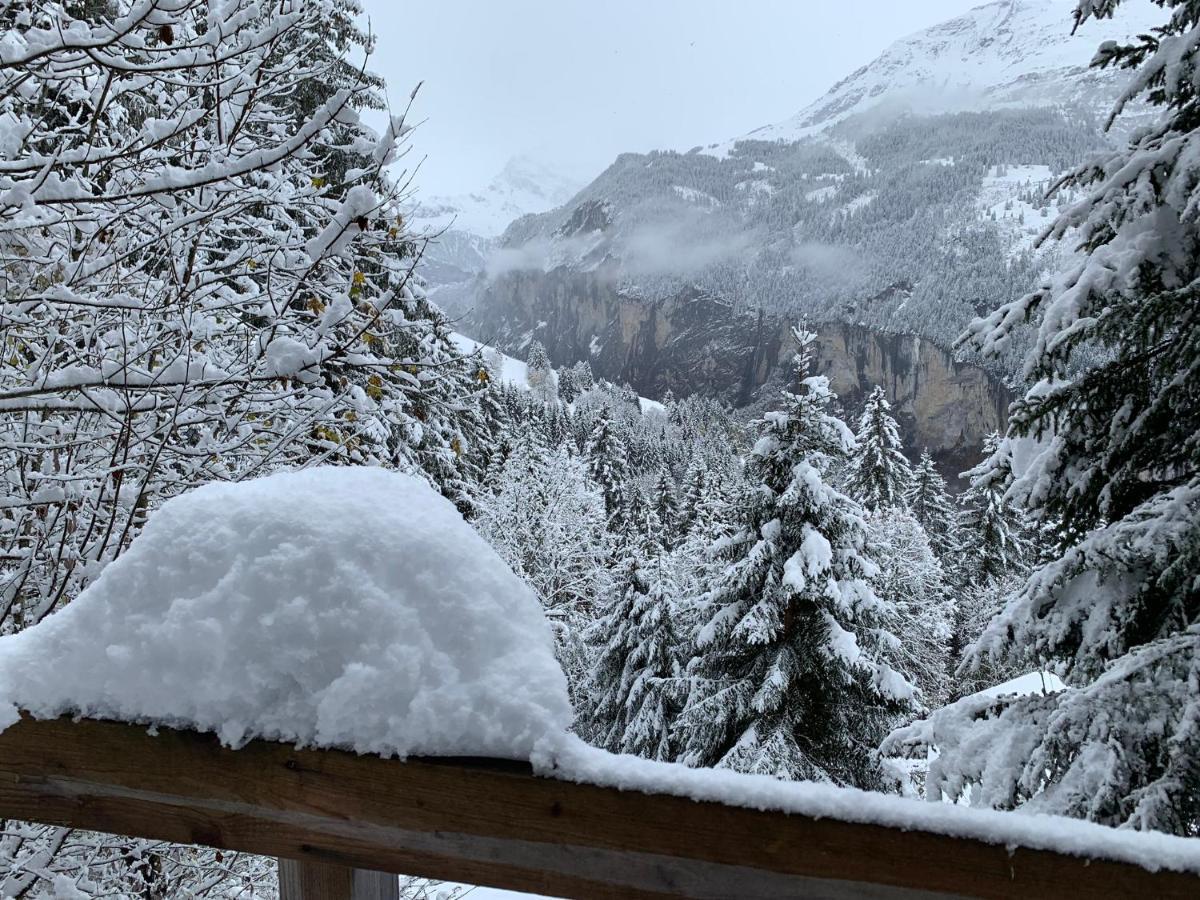 Chalet Schiltwald Innerwengen Zewnętrze zdjęcie