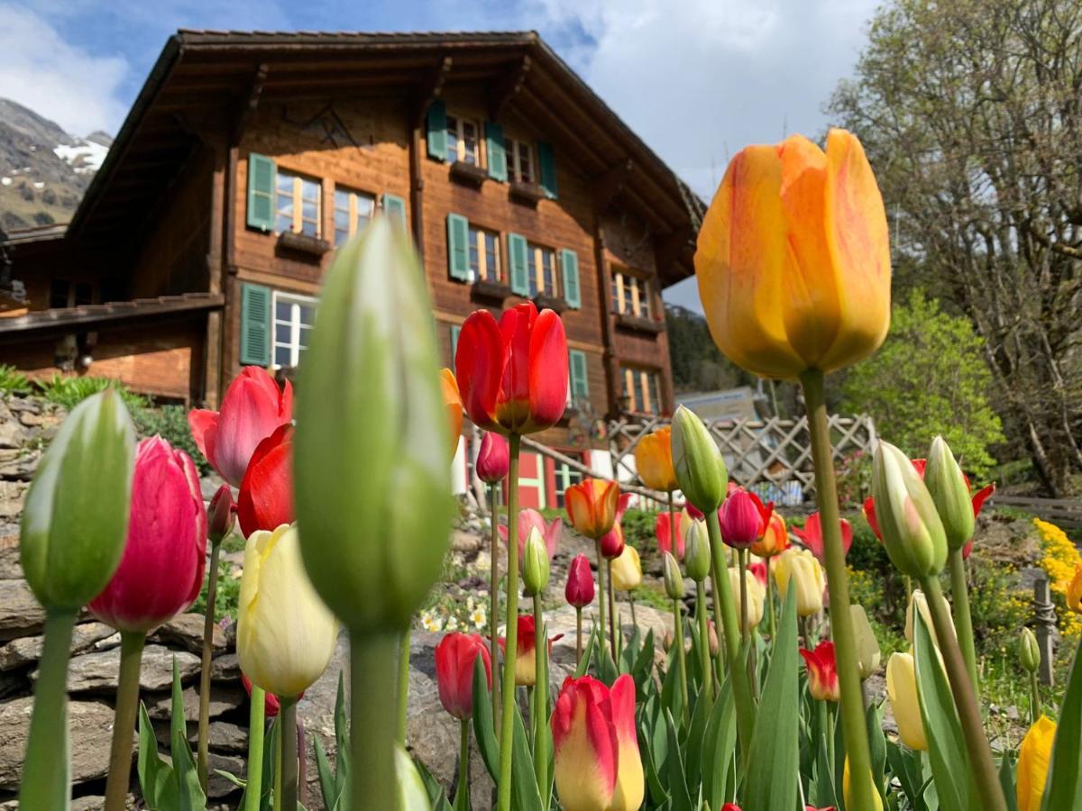 Chalet Schiltwald Innerwengen Zewnętrze zdjęcie
